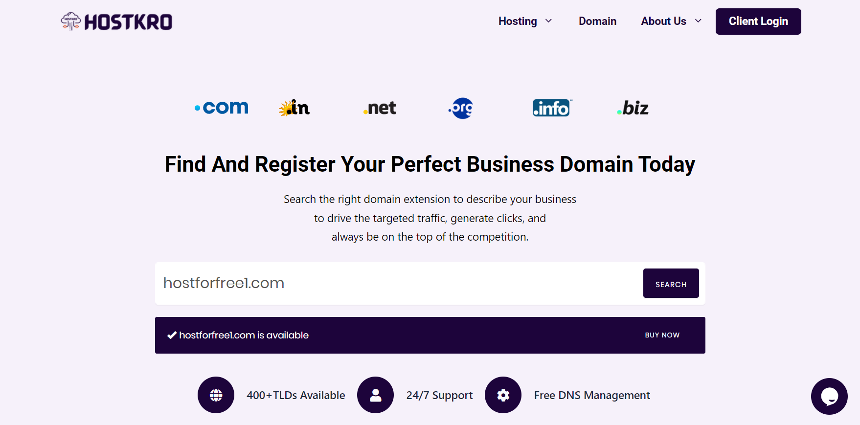 How To Buy A Domain Name In 2024   Domain Availability 